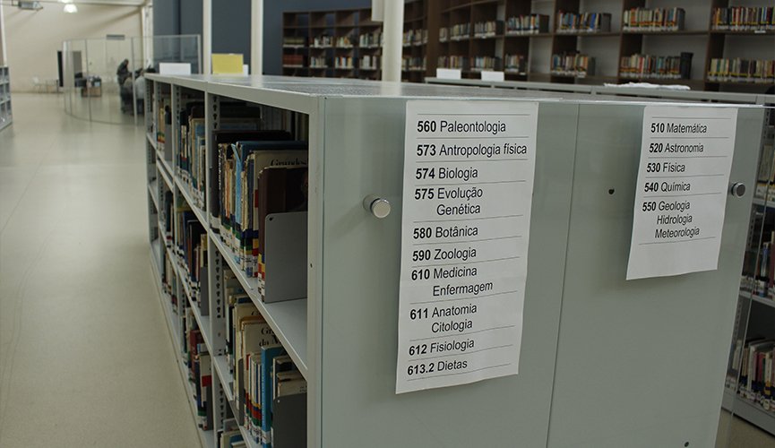 Dia da Biblioteca espaço de Jundiaí conta com acervo de 49 mil livros 8